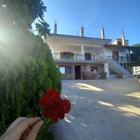 Vila Pasha Sarandë Exteriör bild